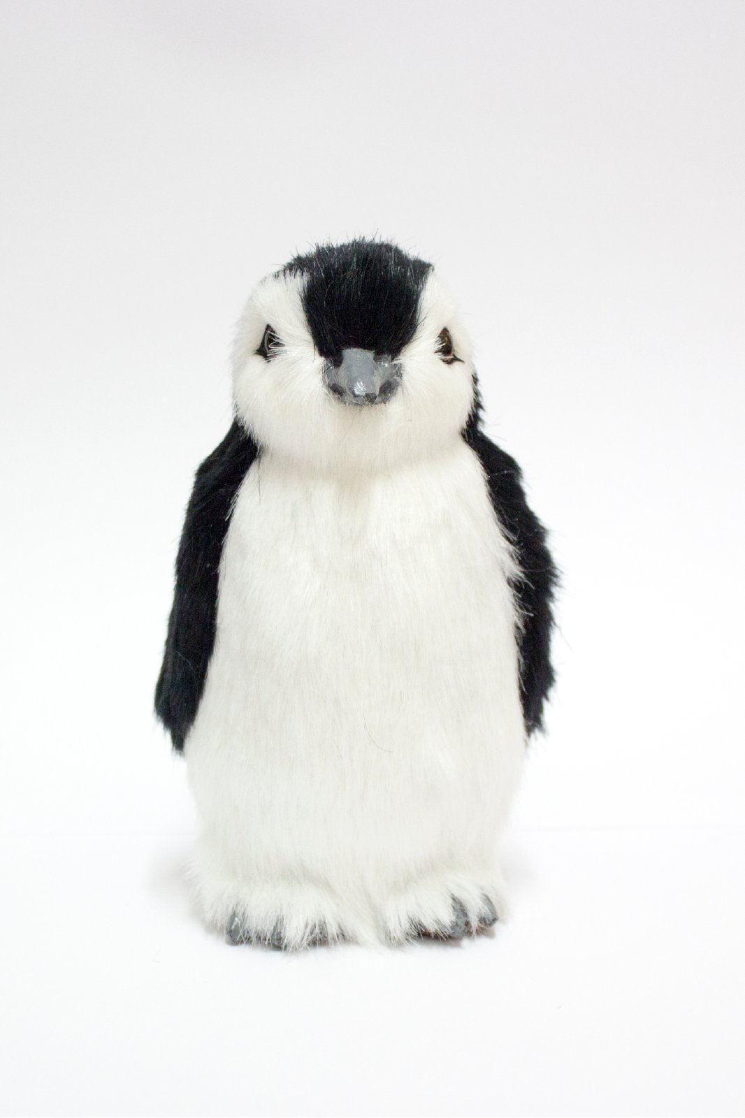 misery penguin