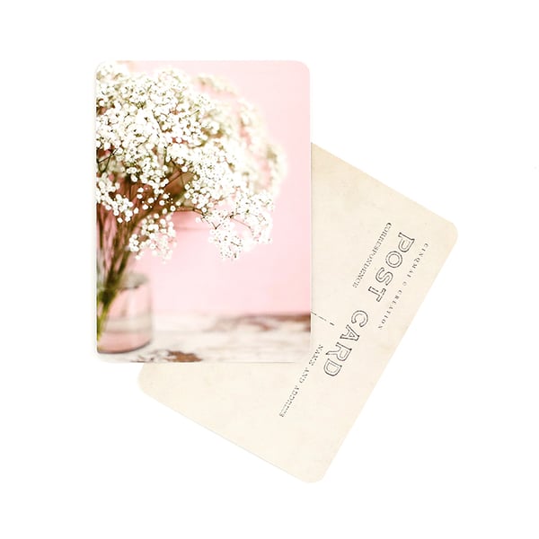 Image of Carte Postale GYPSOPHILE / ROSE