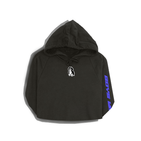Image of "Boy will be boys" Hoodie