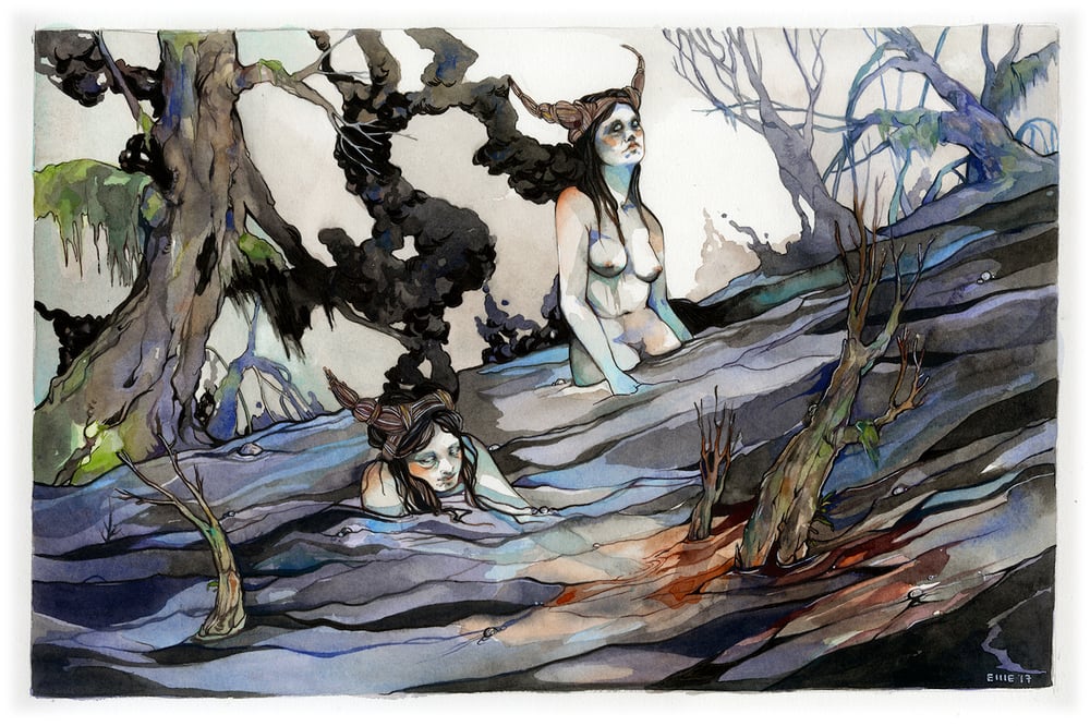 Image of The Blood Swamp