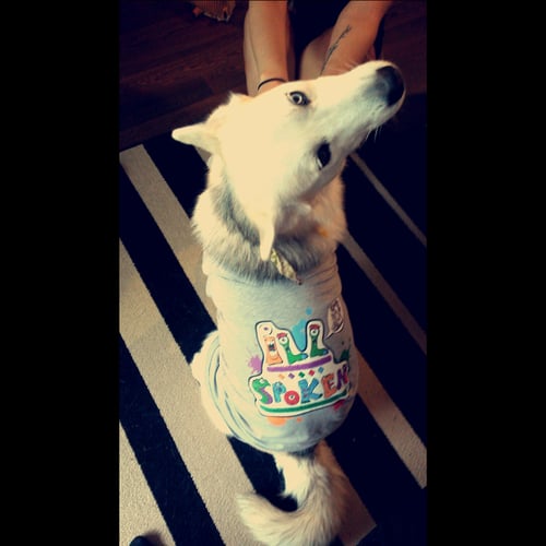 Image of Ladies Monsters V Neck Tee