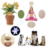 Image 4 of Neutral Space Plate – Powerforms – subtle-energy tools that you can really feel™