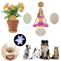Image 3 of The Activator Disk+ Neutral Space Plate+ Super Cell+ Portal for Spiritual rejuvenation chamber
