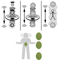 Image 3 of Neutral Space Plate+ Super Cell+ Portal for Spiritual rejuvenation chamber