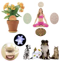 Image 4 of Neutral Space Plate+ Super Cell+ Portal for Spiritual rejuvenation chamber