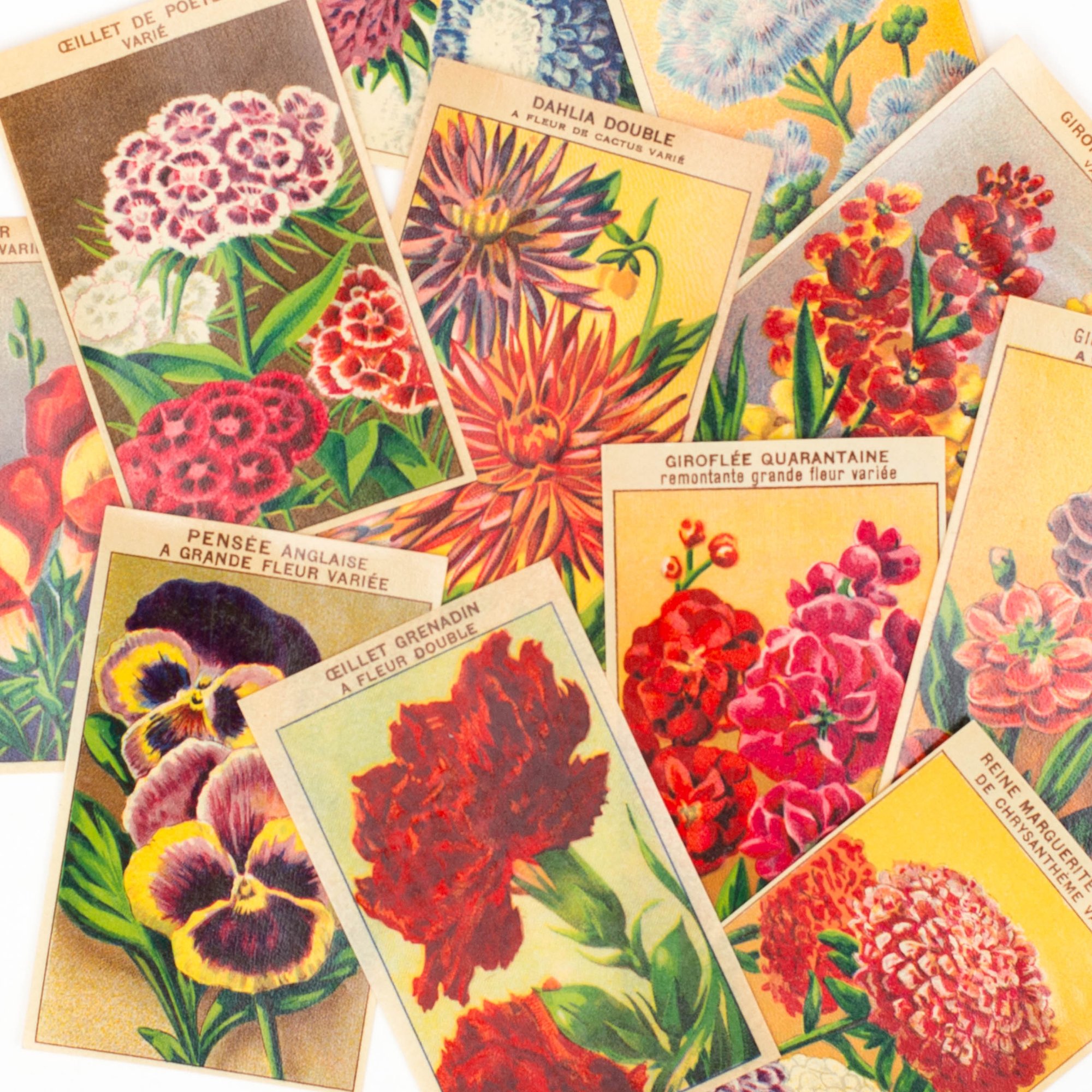 SaturdayAMVintage — 1920's French Flower Seed Labels