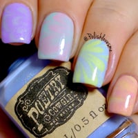 Image 3 of Spring Frostings Collection