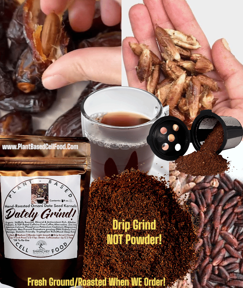 DATELY GRIND! Fresh Roasted Date Seed Grinds- DNA-Kidney-Liver-Fertility/Lactation-Smoking-Rest-Mood