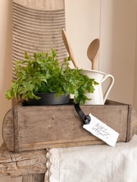 Image 2 of Faux Potted Parsley 