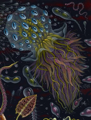 Image of SEA FLORA •  23 x 23"  Signed Limited Edition of 50