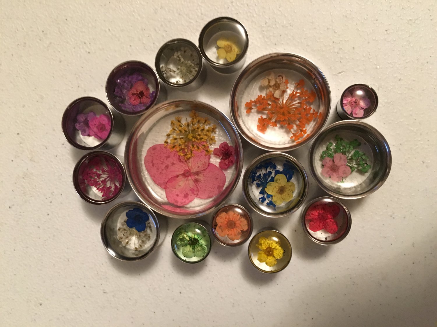 Image of Real Pressed Flower Plugs (sizes 0g-2")