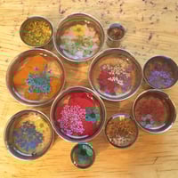 Image 4 of Real Pressed Flower Plugs (sizes 2g-2")