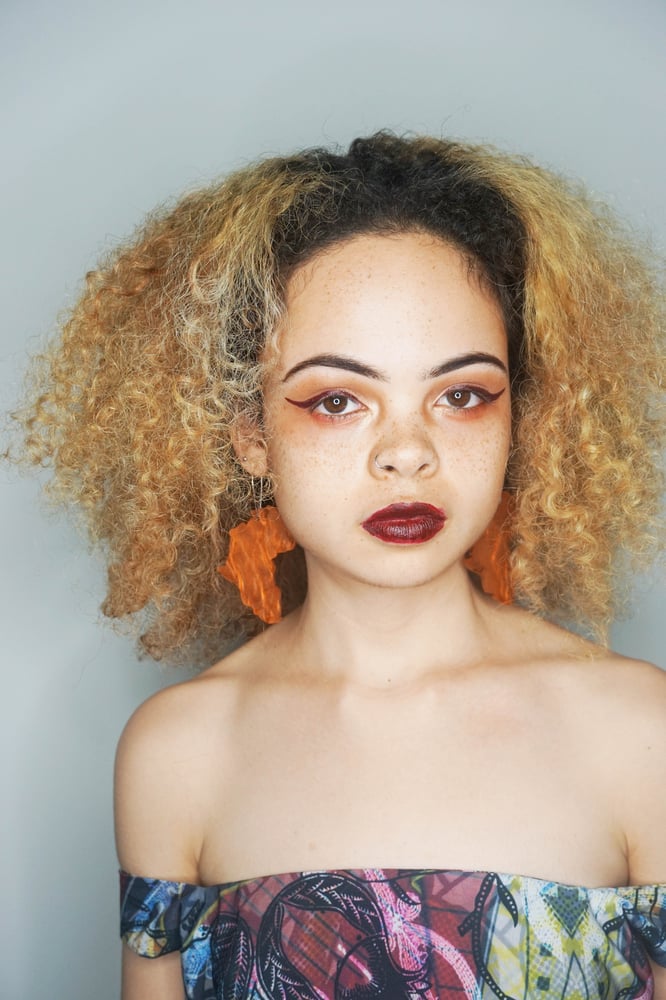 Image of Copper Africa Earrings