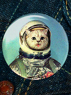 CATSRONAUT