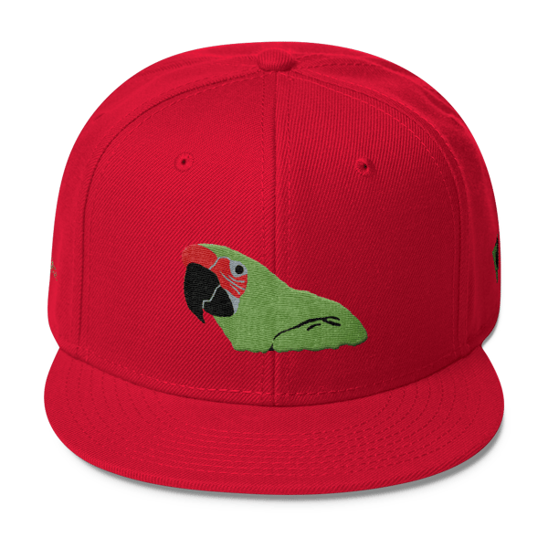 Image of Great Green Macaw - Jneiro Jarel (Fauna Edition) Wool Blend Snapback