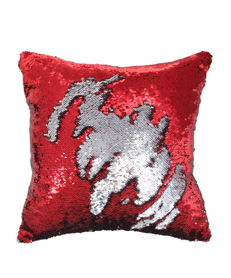 Image of 2 Faced Sequins Pillow