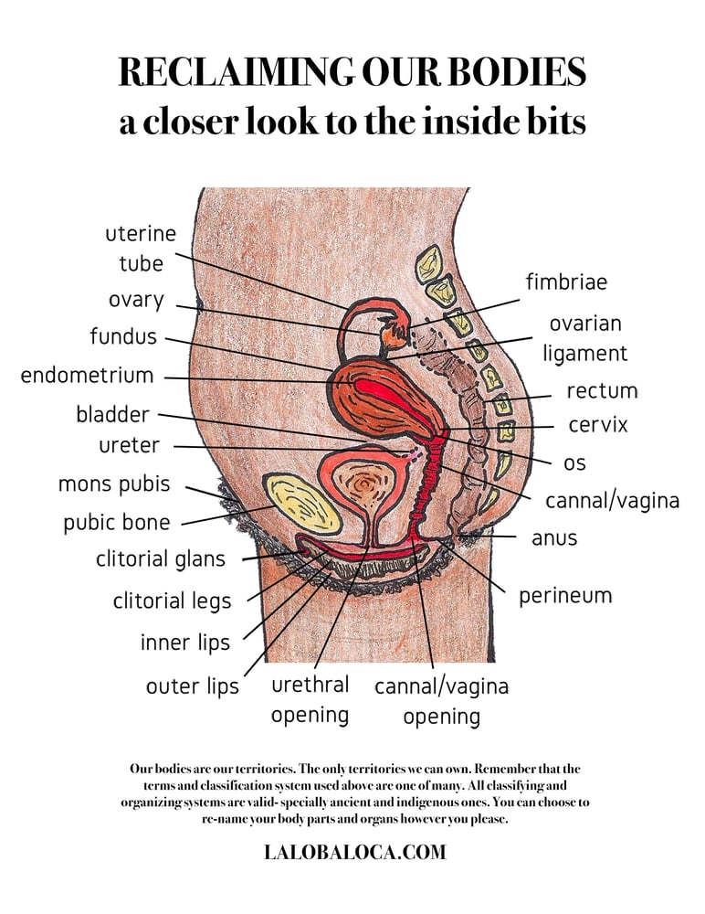 Image of Reclaiming Our Bodies (inside bits) POSTER