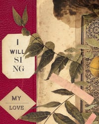 Image 3 of I Will Sing My Love