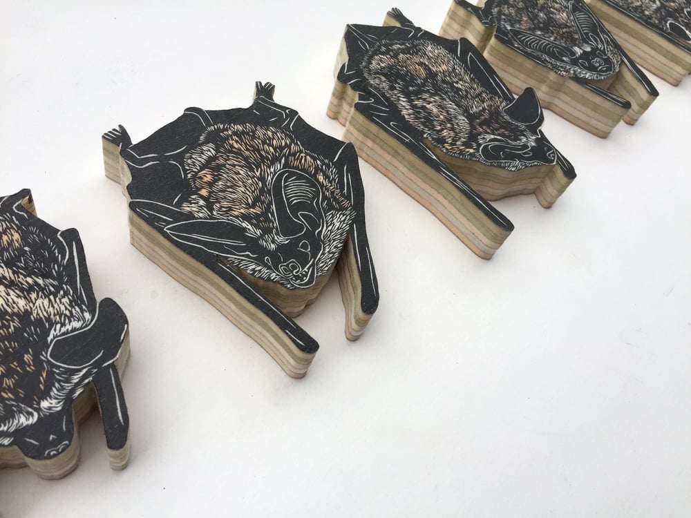 Image of Set of 5 Pallid Bats