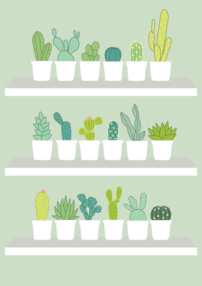 Cacti Cacti Giclee Print Image of Cacti Cacti Giclee Print