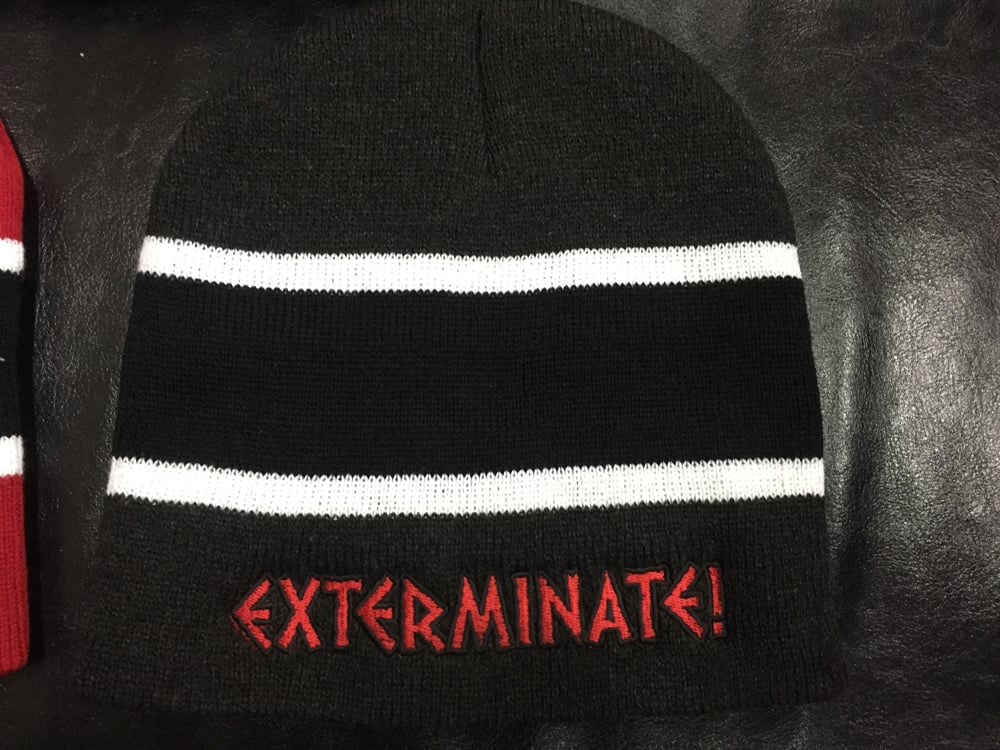 Image of Exterminate! striped knit beanie