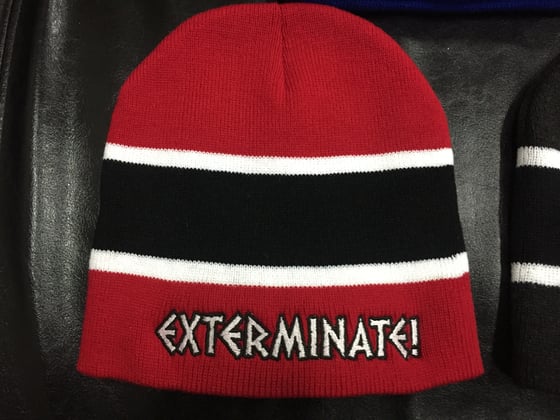 Image of Exterminate! striped knit beanie