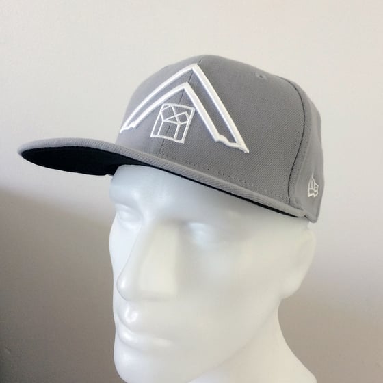 Image of Past Master Cap - Grey Team Player *SALE*