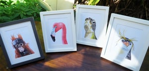 Image of The Flamingo