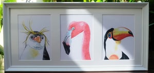 Image of The Flamingo