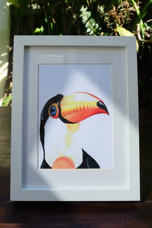 Image of The Toucan