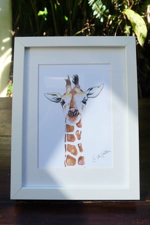 Image of The Giraffe