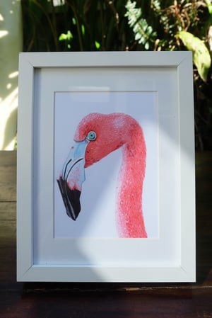Image of The Flamingo