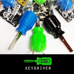 Image of PROJECTB5 - AUDI/VW KEYDRIVER