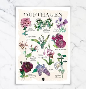 Image of "Dufthagen"