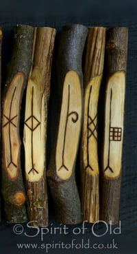 Image 2 of Tree Speak ogham - 5 Forfeda staves (D5)