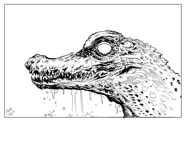 Image of inked caiman original piece