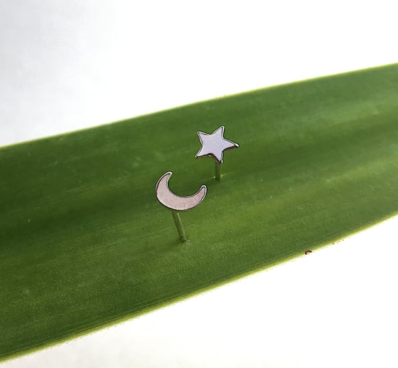 Image of Star and Moon Stud Earrings 
