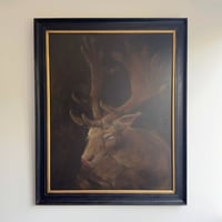 Image 1 of white buck 