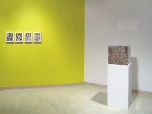 Image of Sequential Desire catalogue