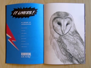 Image of Sequential Desire catalogue