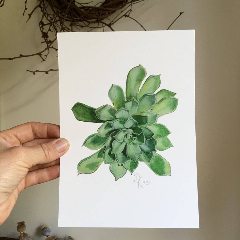 Image of Juniper Echeveria 2016, Fine Art Print