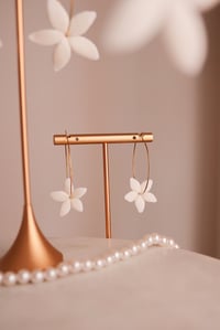 Aros Jazmín Delicado