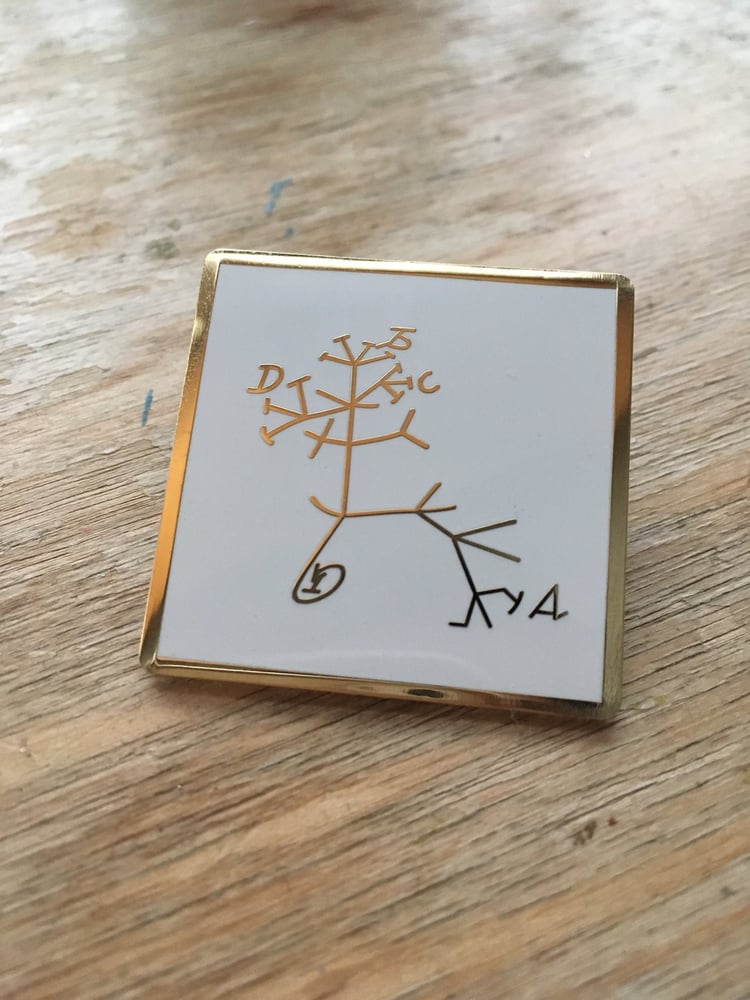 Image of Darwin's Tree of Life