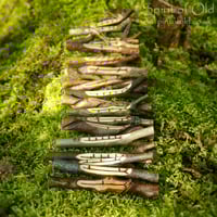 Image 2 of Treesong Ogham - Selected Corresponding Staves