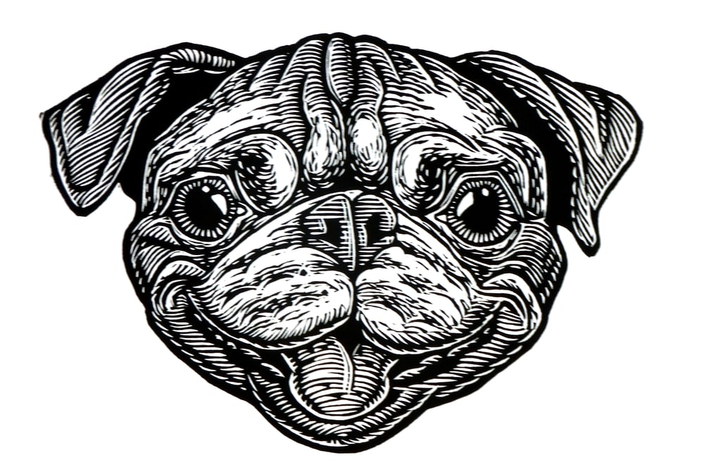 Bob the Pug Head T-shirt (A1) **FREE SHIPPING**