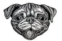 Image 5 of Bob the Pug Head T-shirt (A1) **FREE SHIPPING**