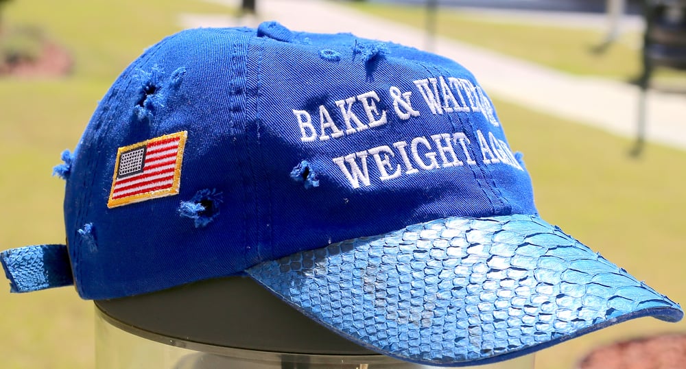 Image of (Limited Edition) Hand Distressed Blue Python Bake & Water Whip Weight Again Hat + CD