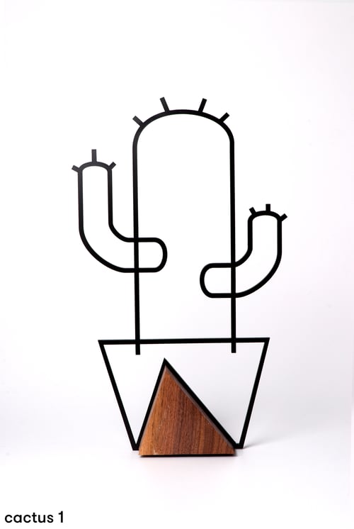 Image of Wire cactus
