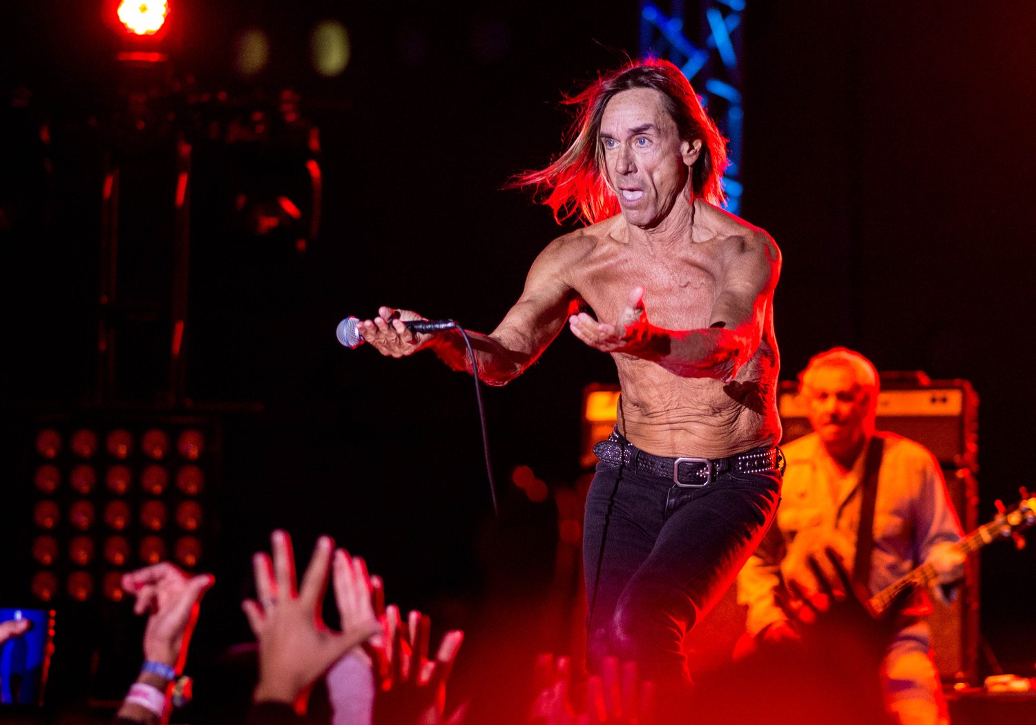 Image of Iggy and the Stooges limited edition photo