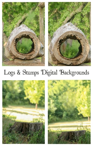 Image of Logs & Stumps Digital Backgrounds